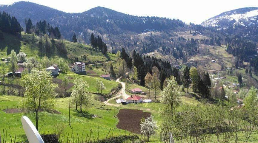 Şalpazarı Sinlice Köyü Resimleri 26