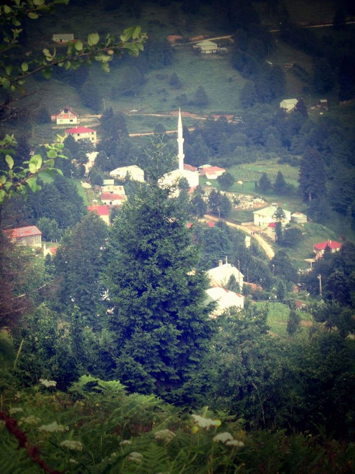 Şalpazarı Sinlice Köyü Resimleri 37