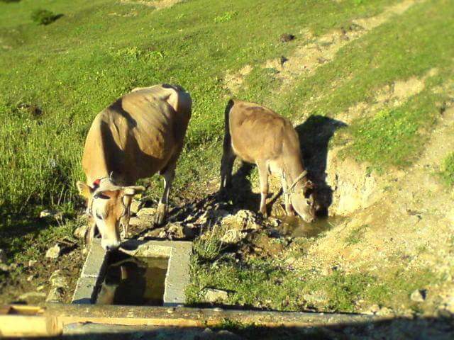 Şalpazarı Sinlice Köyü Resimleri 8