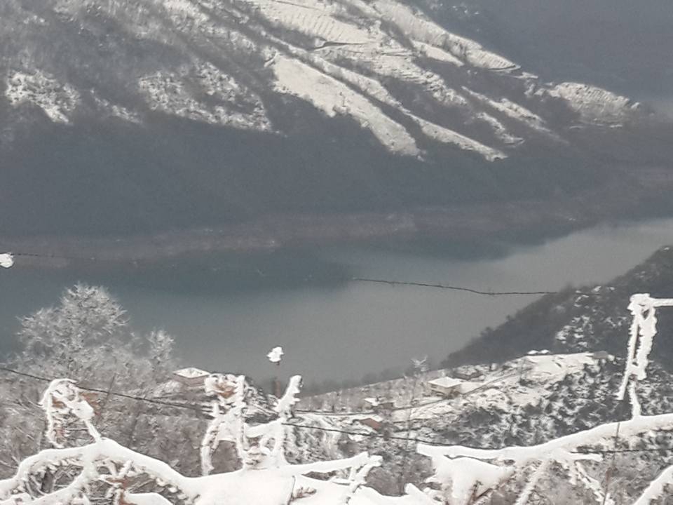 Ayvacık Ardıç Köyü Resimleri 2