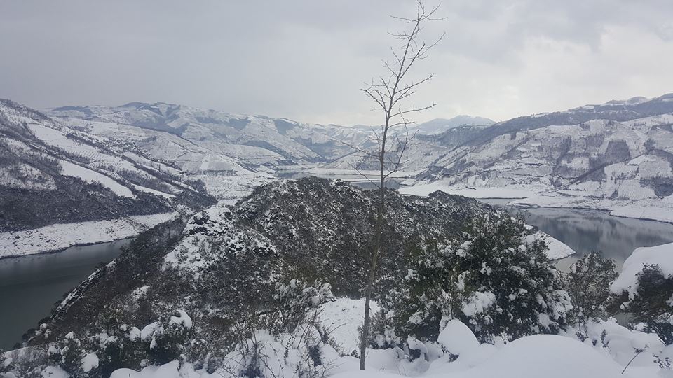 Ayvacık Ardıç Köyü Resimleri 4