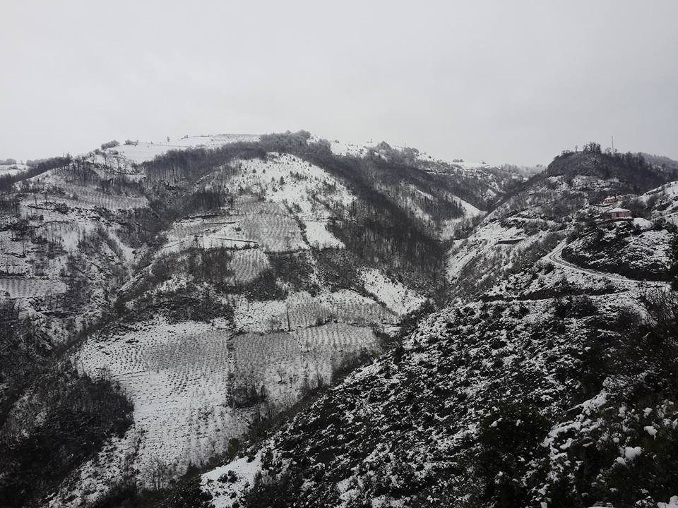 Ayvacık Ardıç Köyü Resimleri 8