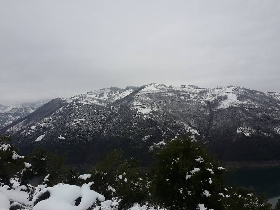 Ayvacık Ardıç Köyü Resimleri 9