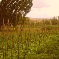Bayburt Çayırözü Köyü Resimleri 17