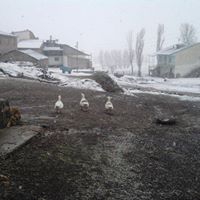 Bayburt Çayırözü Köyü Resimleri 9