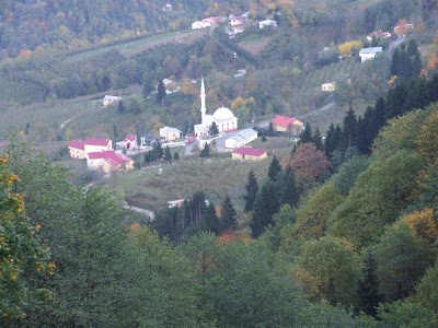 Şalpazarı Tepeağzı Köyü Resimleri 10