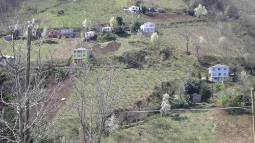 Şalpazarı Tepeağzı Köyü Resimleri 11