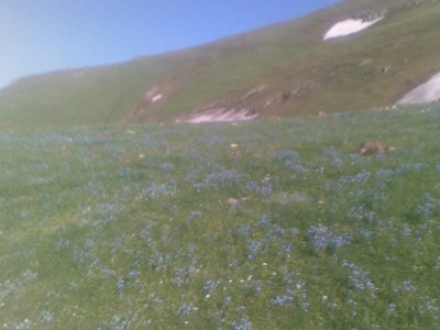 Şalpazarı Tepeağzı Köyü Resimleri 15