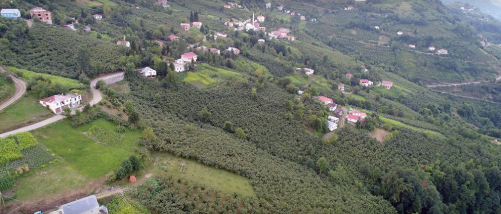 Şalpazarı Tepeağzı Köyü Resimleri 18
