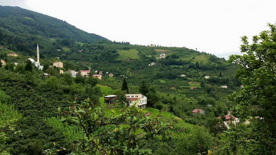 Şalpazarı Tepeağzı Köyü Resimleri 20