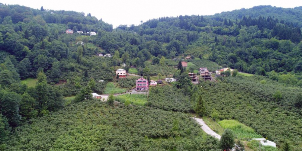 Şalpazarı Tepeağzı Köyü Resimleri 21