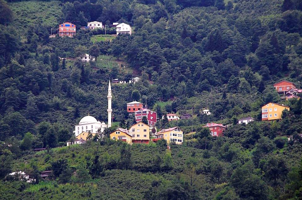 Şalpazarı Tepeağzı Köyü Resimleri 22