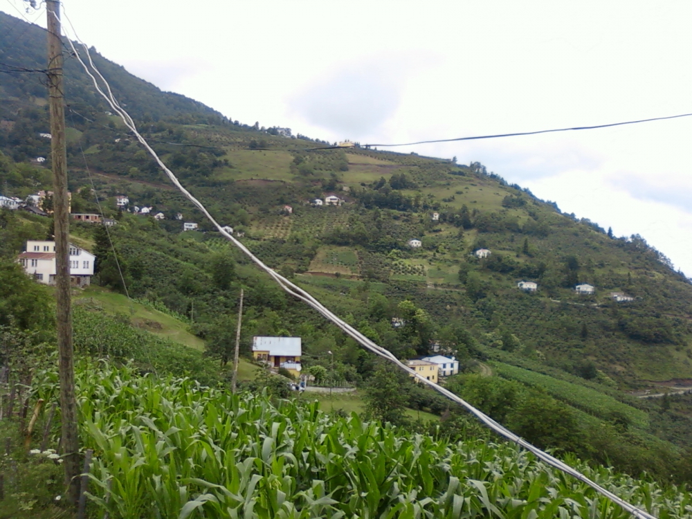 Şalpazarı Tepeağzı Köyü Resimleri 23