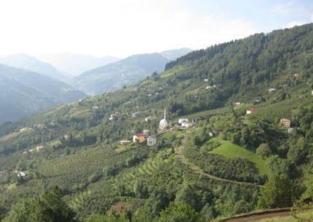 Şalpazarı Tepeağzı Köyü Resimleri 6