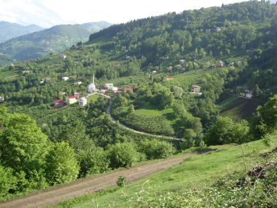 Şalpazarı Tepeağzı Köyü Resimleri 8