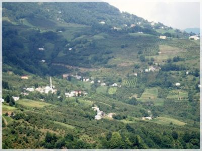 Şalpazarı Tepeağzı Köyü Resimleri 9