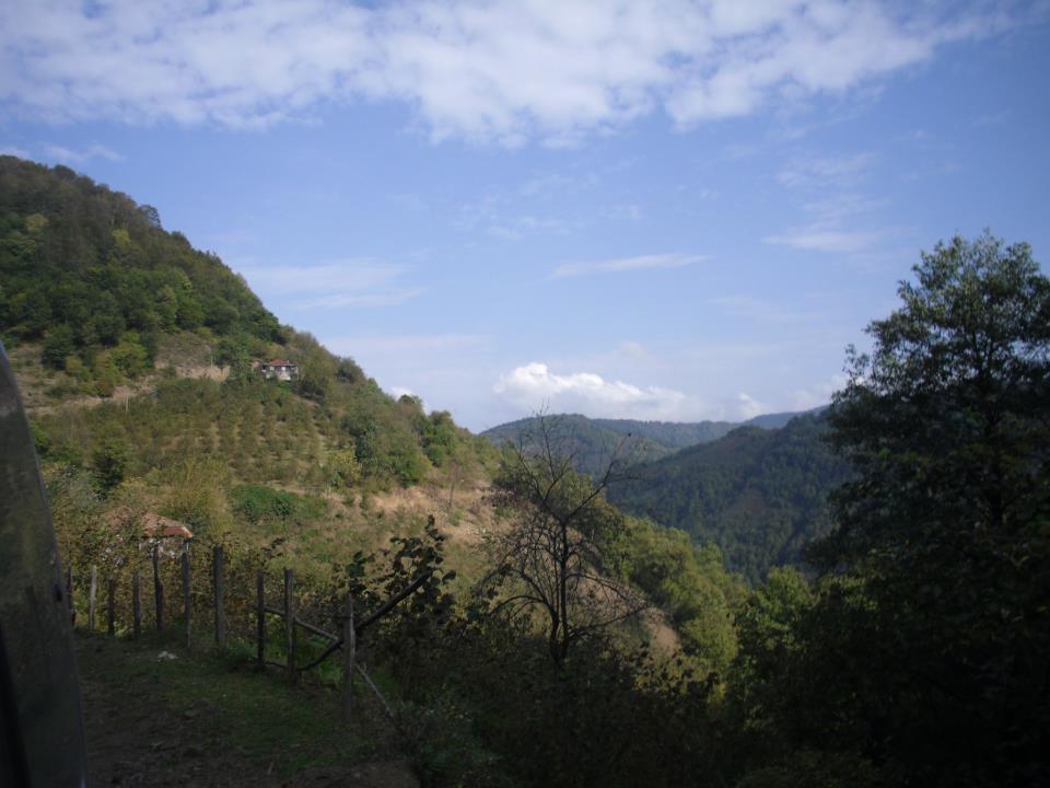 Ayvacık Eynel Köyü Resimleri 1