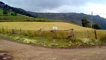 Ayvacık Güzelyurt Köyü Resimleri 2