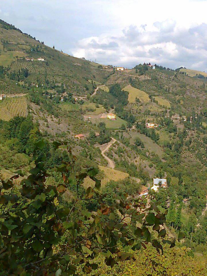 Ayvacık Güzelyurt Köyü Resimleri 5