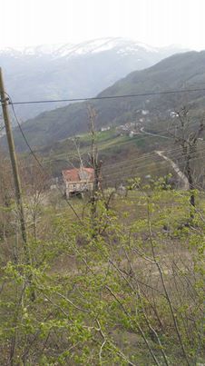 Ayvacık Güzelyurt Köyü Resimleri 7