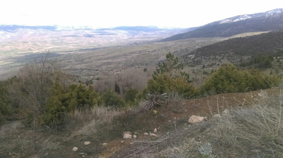 Akıncılar Balçık Köyü Resimleri 21