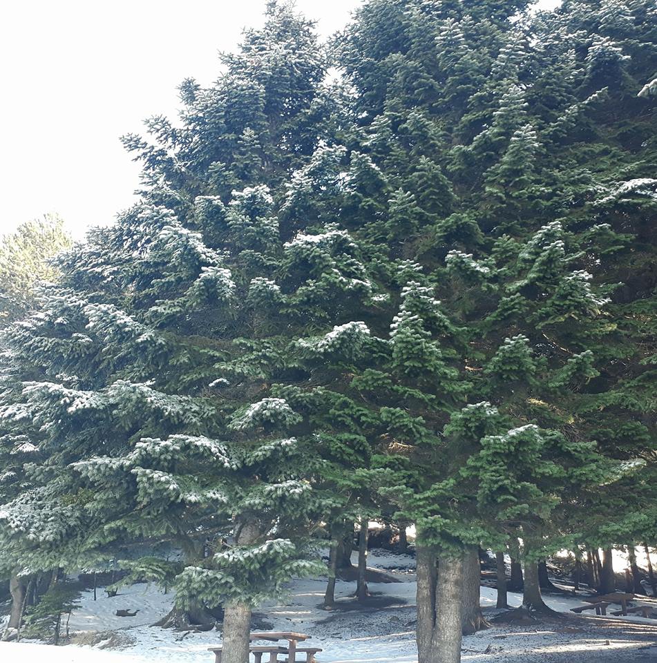 Akıncılar Balçık Köyü Resimleri 25