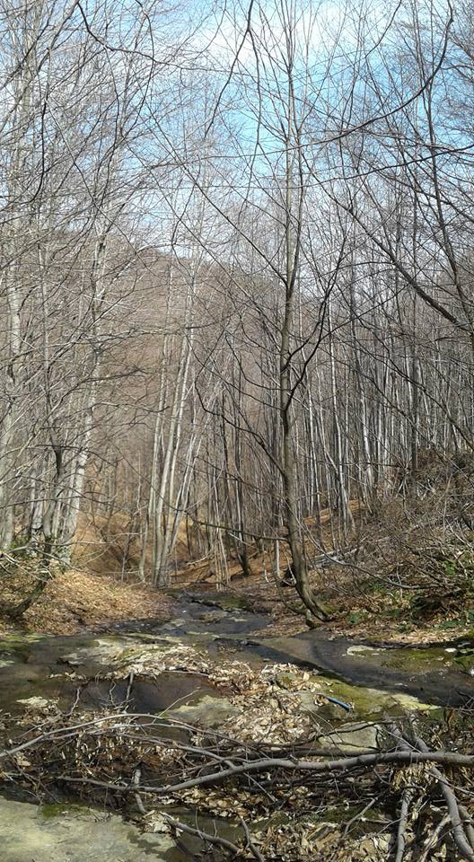 Ayvacık Kapıkaya Köyü Resimleri 2