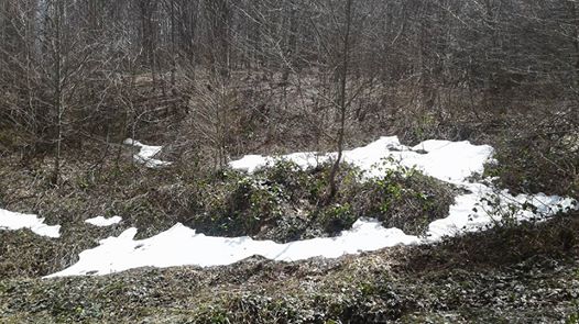 Ayvacık Kapıkaya Köyü Resimleri 6