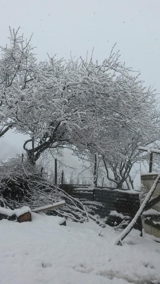 Ayvacık Kazancılı Köyü Resimleri 2