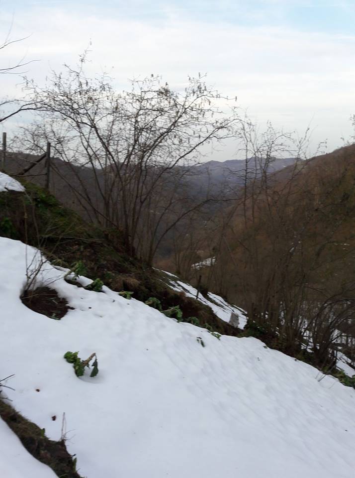 Ayvacık Ortaköy Köyü Resimleri 3