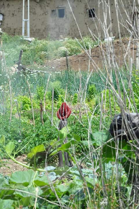 Akıncılar Ballıdere Köyü Resimleri 15