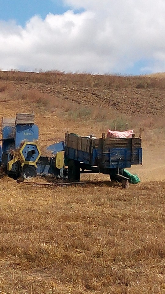 Akıncılar Ballıdere Köyü Resimleri 23