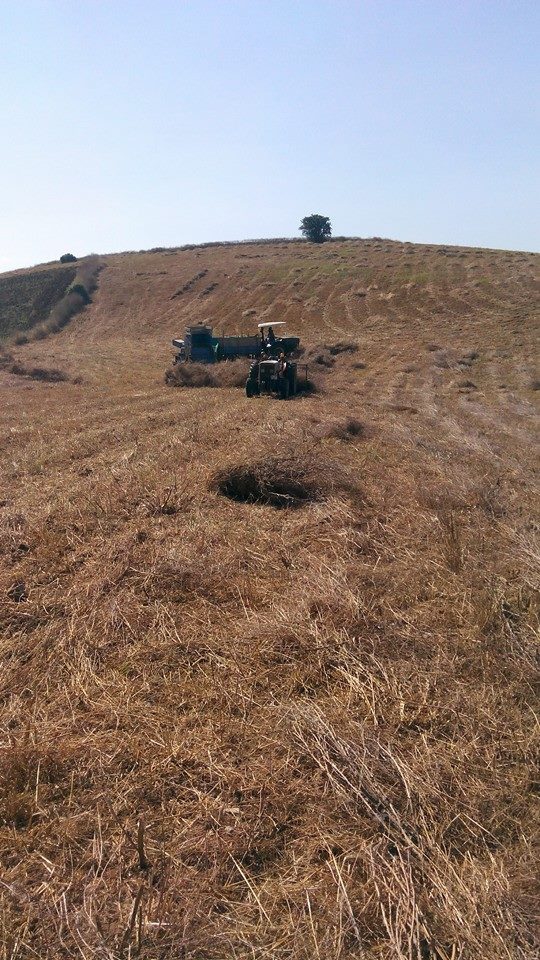 Akıncılar Ballıdere Köyü Resimleri 25