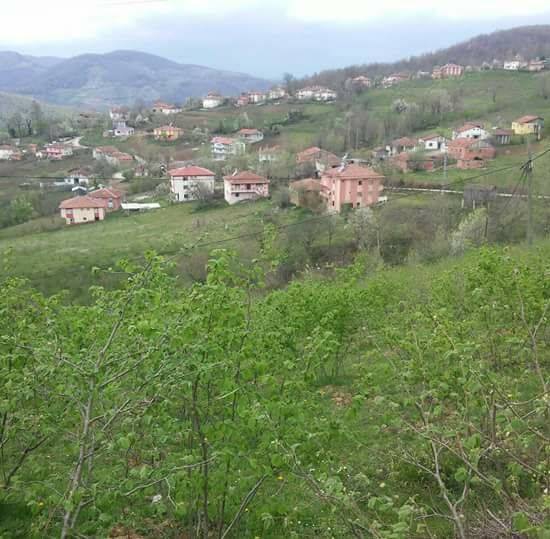 Ayvacık Yeniköy Köyü Resimleri 1