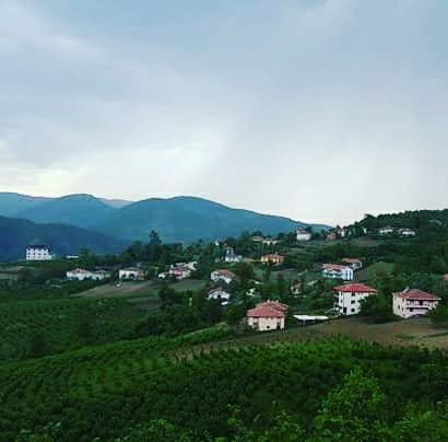 Ayvacık Yeniköy Köyü Resimleri 3