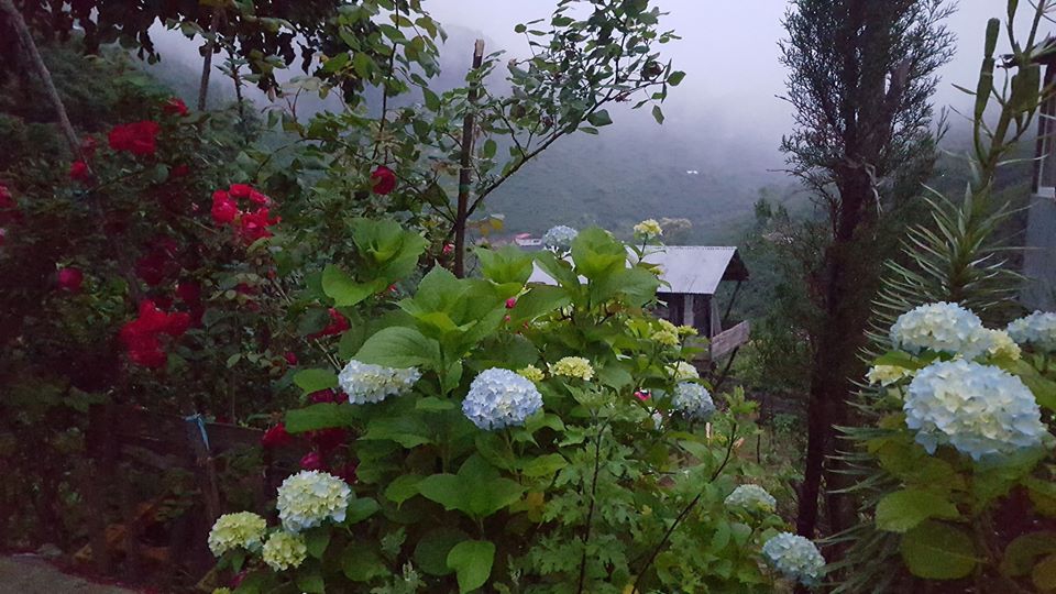 Ayvacık Yeşilpınar Köyü Resimleri 1