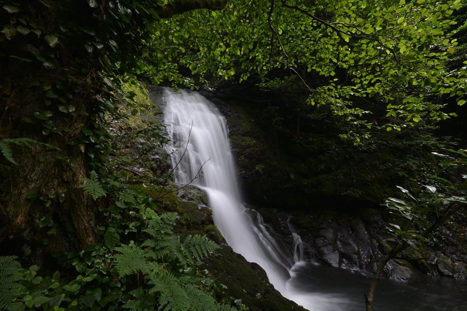 Ayvacık Yeşilpınar Köyü Resimleri 5
