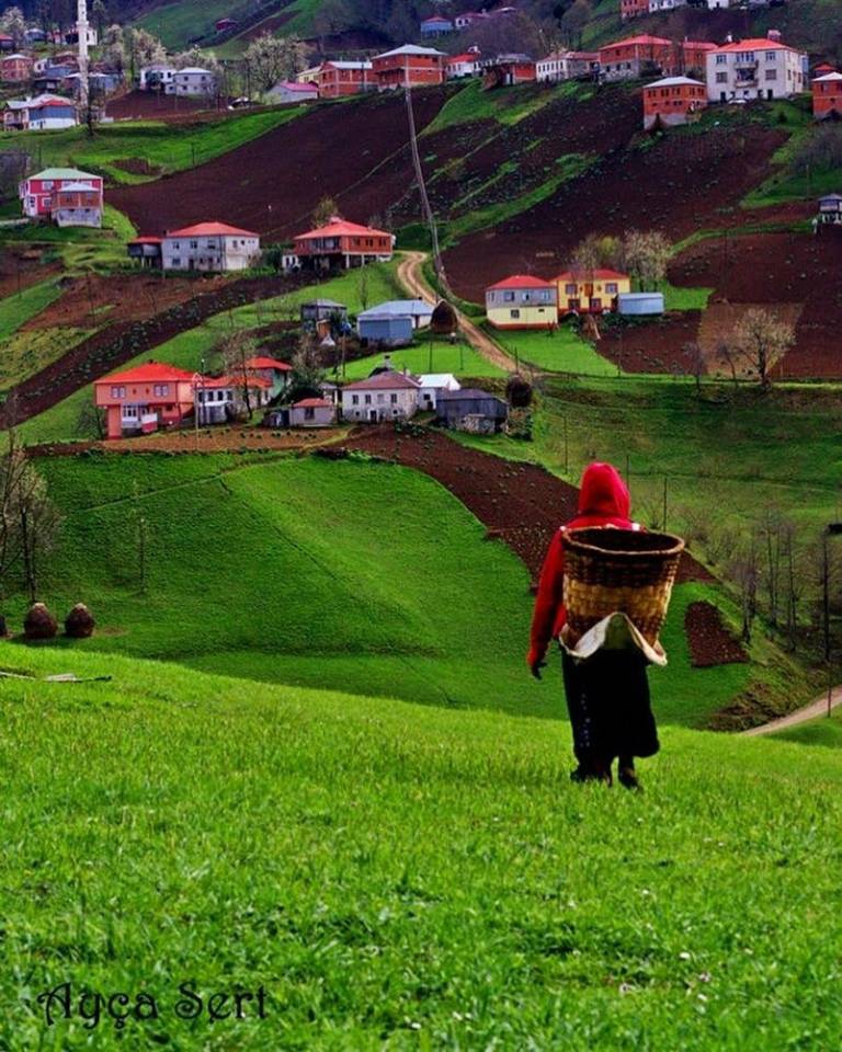 Tonya İskenderli Köyü Resimleri 16