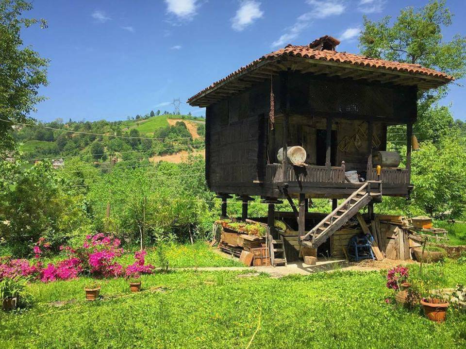 Tonya İskenderli Köyü Resimleri 17