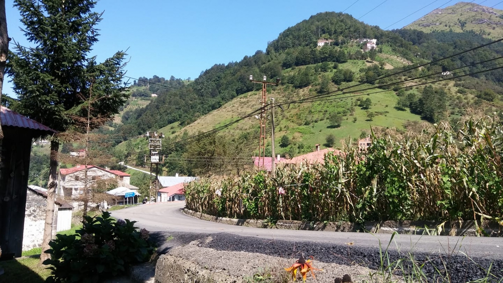 Tonya İskenderli Köyü Resimleri 19