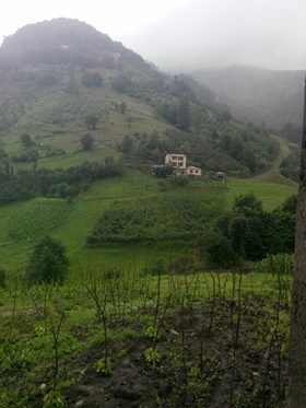 Tonya İskenderli Köyü Resimleri 6