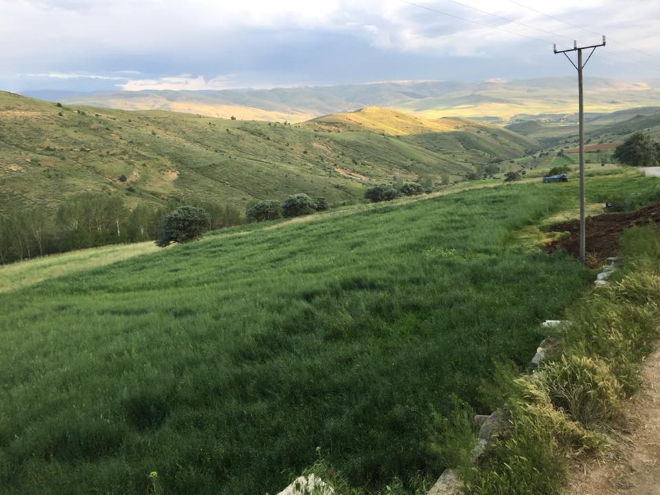 Bayburt Gökçeli Köyü Resimleri 5