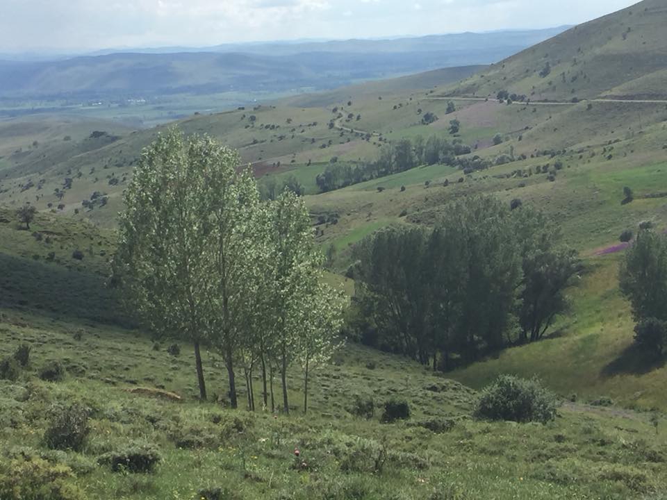 Bayburt Gökçeli Köyü Resimleri 8