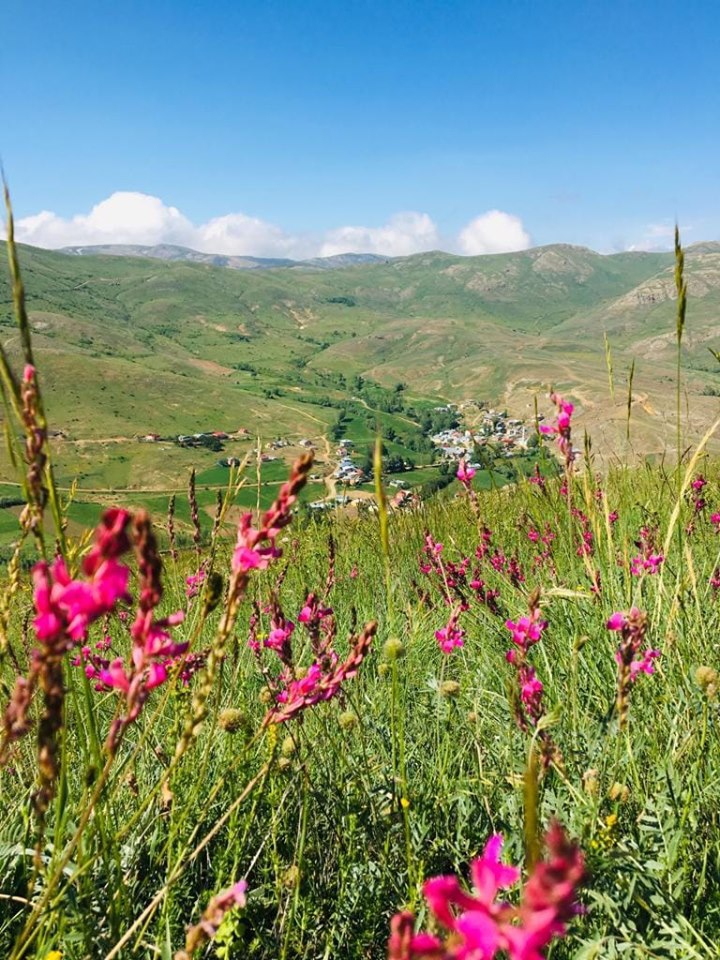 Bayburt Gökler Köyü Resimleri 11