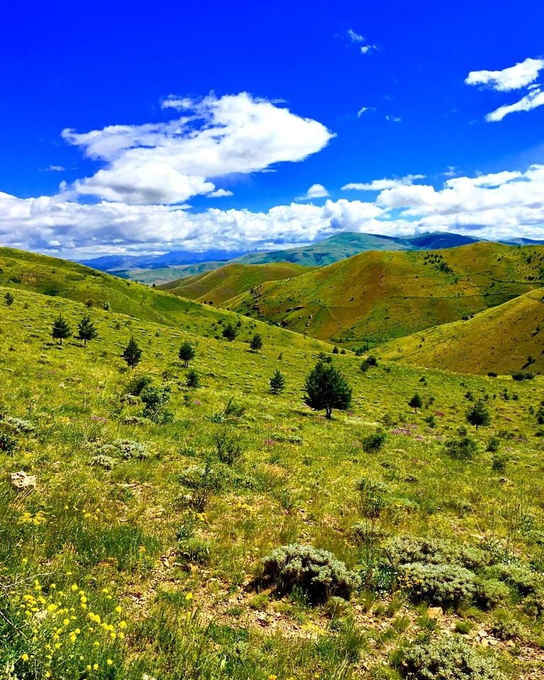 Bayburt Gökler Köyü Resimleri 12