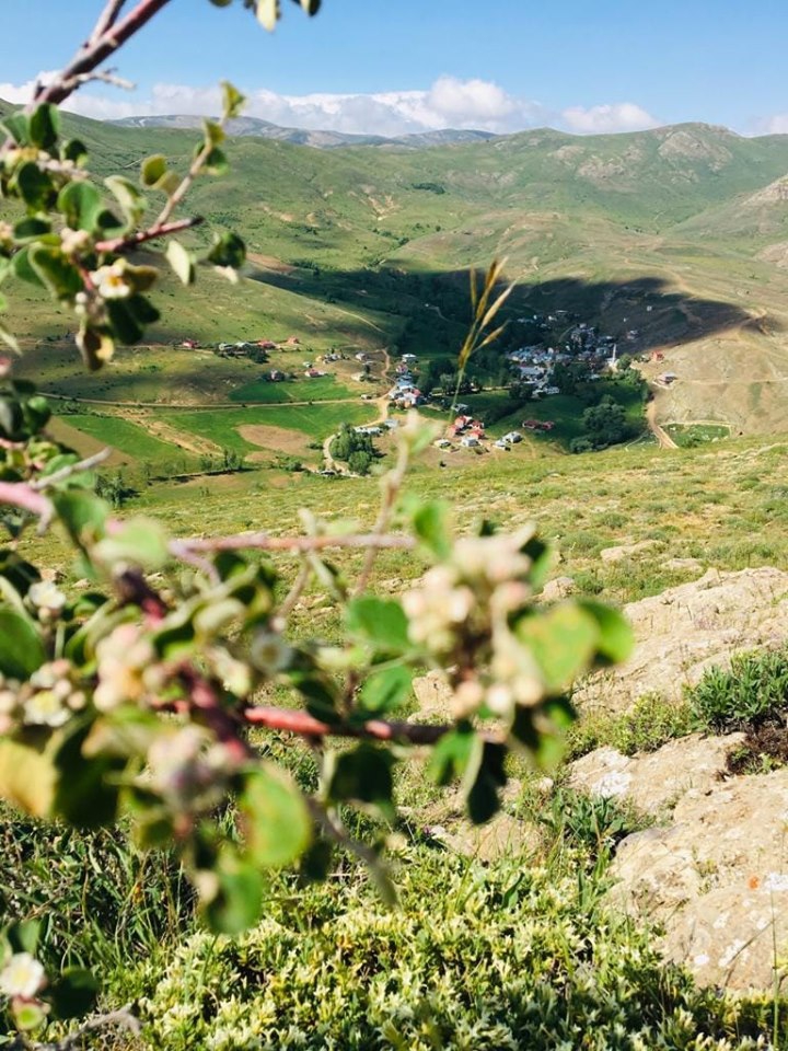 Bayburt Gökler Köyü Resimleri 13