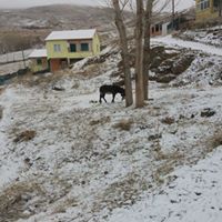 Bayburt Gökler Köyü Resimleri 3