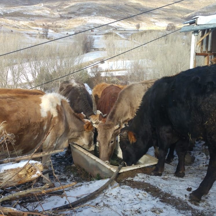 Bayburt Gökler Köyü Resimleri 5
