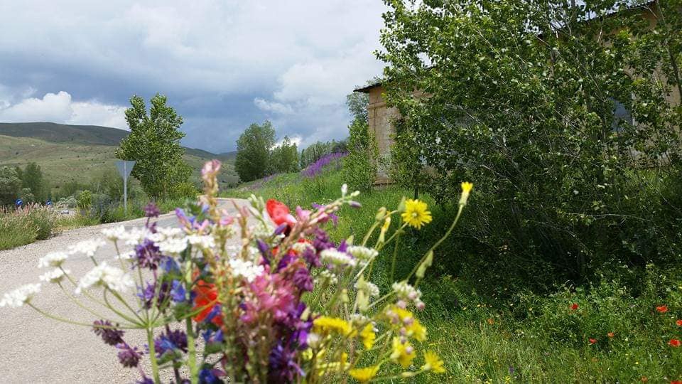 Bayburt Gökler Köyü Resimleri 7