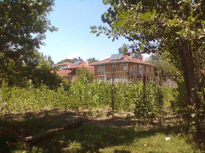 Kastamonu Ahmetbey Köyü Resimleri 7